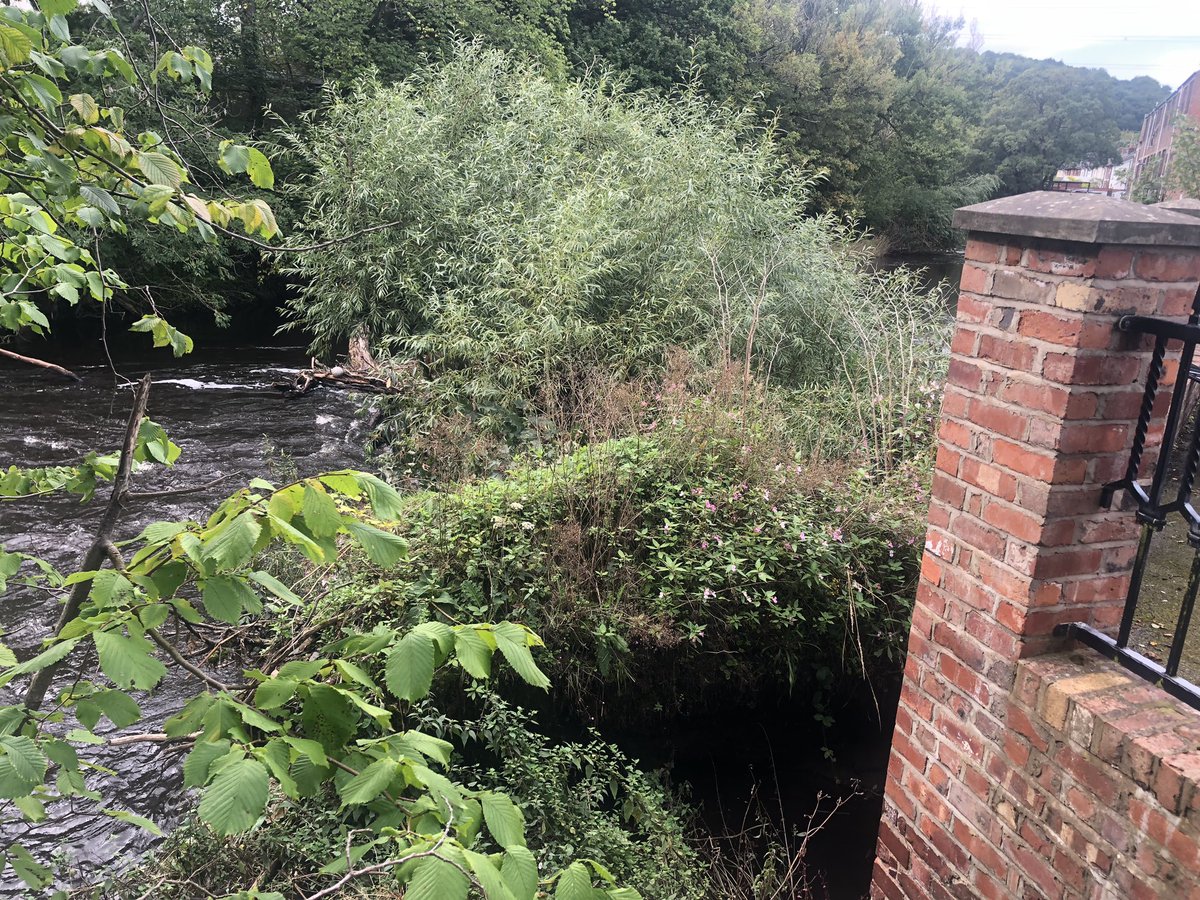 jaymilson's tweet image. Another blockage cleared for @GroundControlGC @EnvAgencyNW