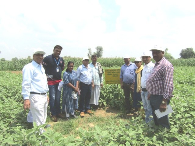 LupinCSR's tweet photo. #BankersInstituteOfRuralDevelopment trainees hailed from various states visited #NRM based #livelihood activities of #UPNRM project jointly supported by #NABARD, #ACCB and #MSGD #Lupin in #Laxmangarh & #Kathumar block with DGMs BIRD, DDM NABARD and ACCB officials.@sitaramgupta11 https://t.co/TLO0wWcP1p