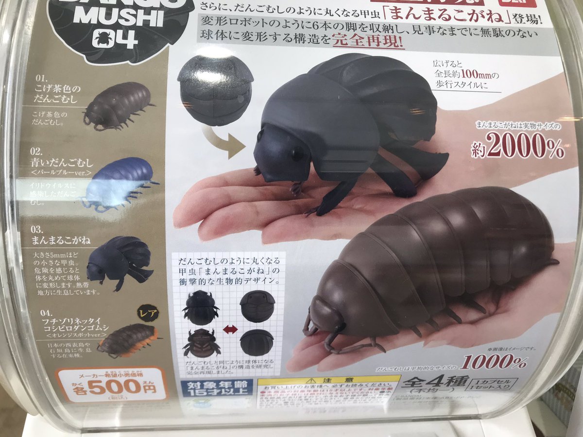 ダンゴムシガチャ ダンゴムシガチャ