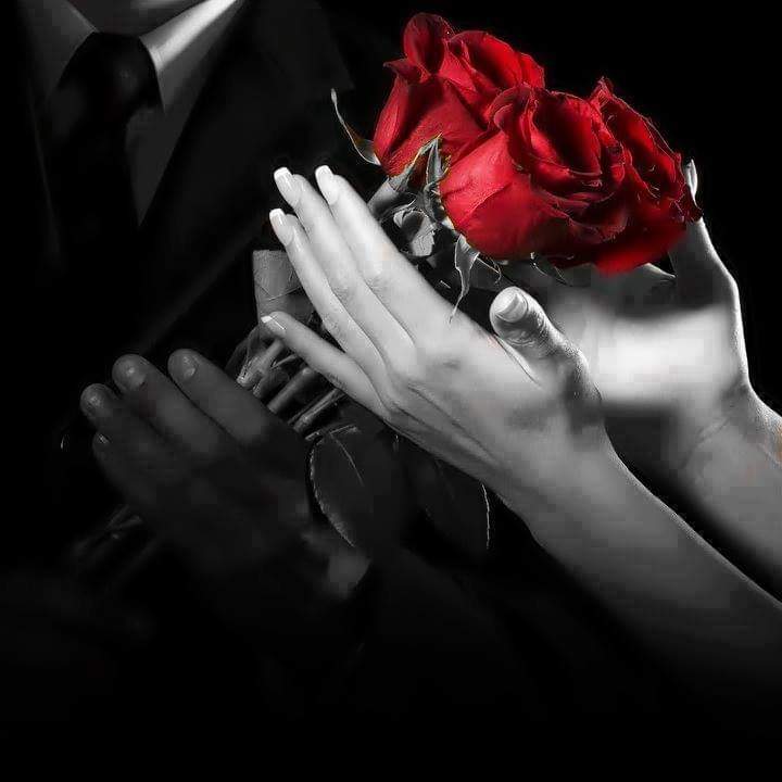 Murat (@sabit54623518) on Twitter photo 