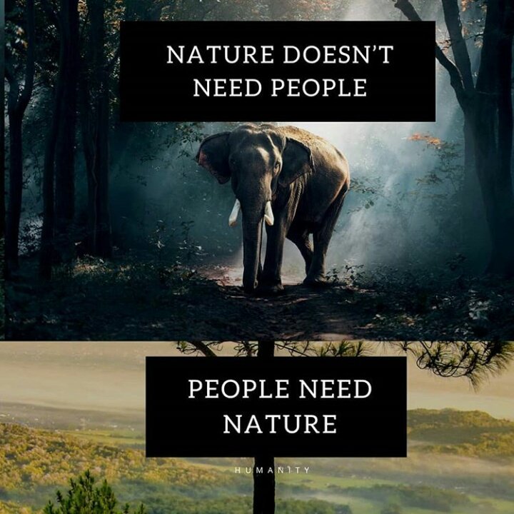 Twitter पर Change4climate: "Absolutely true,we nature ,it does not need us.I repeat NATURE DOES NOT NEED HUMANS. #ClimateChange #changeforclimate #Letsprotectnature #Sustainability https://t.co/LV5ANpp1cs" / Twitter