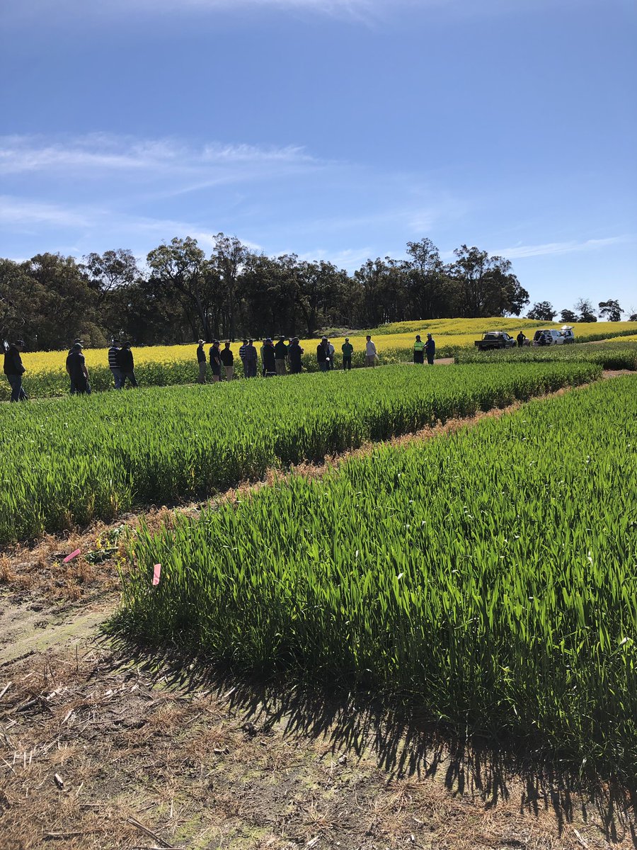 Ro_Mckenzie01's tweet photo. Good day out on the Landmark Trial tour for 2019, thanks to @AHRI_Team  for taking us through their impressive site &amp; @agro_brad for all the work he does. And lastly 
@kentstone85  for suppling the dirt and knowledge. https://t.co/tcFcw9mrP7