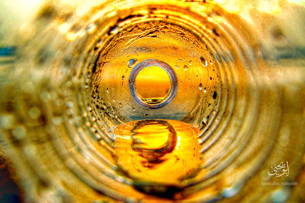 ابو يحيى tweet media