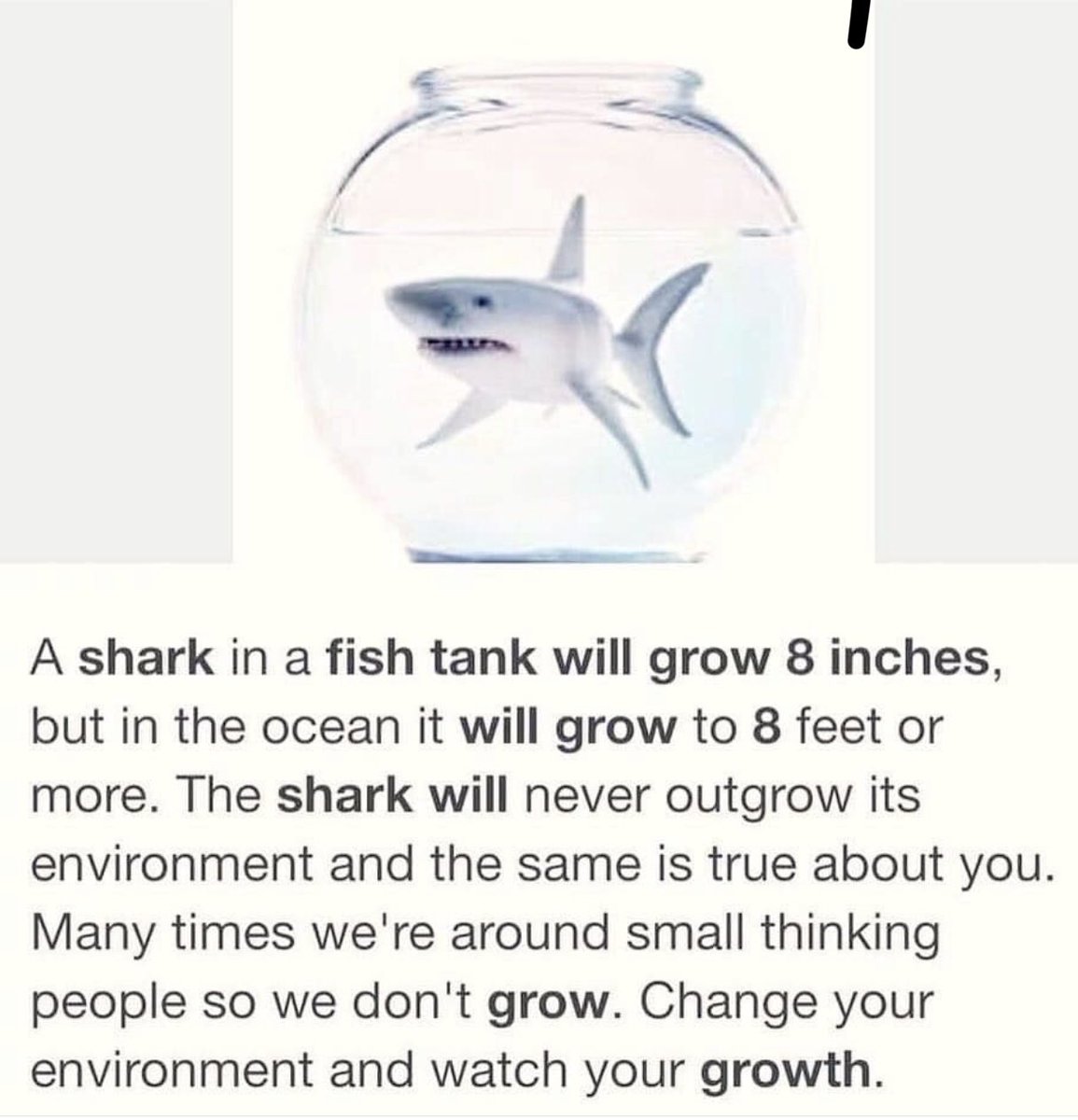 peakcoachingac's tweet photo. https://t.co/8Jhd3xm3gZ