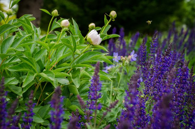 CityofPoCo's tweet photo. We're looking for striking pics of #PoCo's natural beauty for the city's 2020 calendar by Sept. 20. Do you have photos of scenes or landscape from all 4 seasons showcasing the natural beauty of #PoCo? Submit here: https://t.co/u4y3Ea4mXb. Photo credit Laura Thomas #NaturallyPoCo https://t.co/c3MsDSbqEh