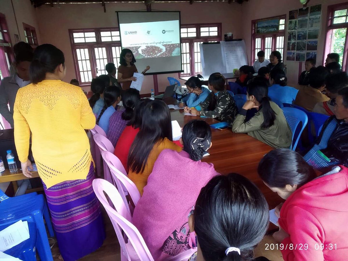 thiritun06's tweet photo. Shwe Taung Thu, a farmers owned enterprise, organized Food Safety on Farm Training of Trainers in Ywangan Tsp, with the technical support of Value Chains for Rural Development in Myanmar. #Winrock #Myanmar #SpecialtyCoffee https://t.co/88jkC56AXJ