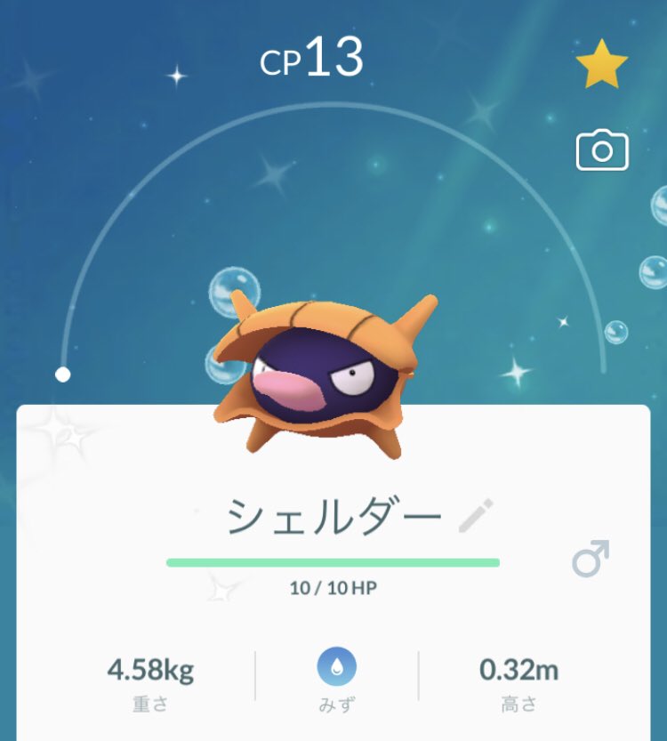 色違いシェルダー