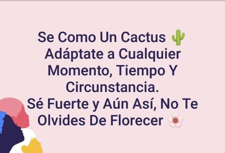 andrearp01's tweet image. 