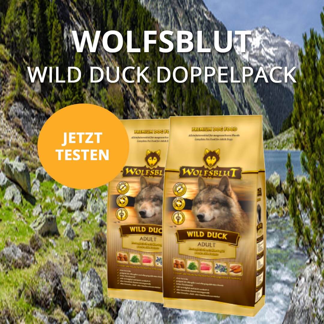 leckerchen24's tweet photo. Eines der beliebtesten Hundefuttermarken in Deutschland - jetzt günstig einkaufen! #wolfsblut #leckerchen24 #beliebteshundefutter #hundefutter #trockenfutter https://t.co/B2kjBSdlZ7