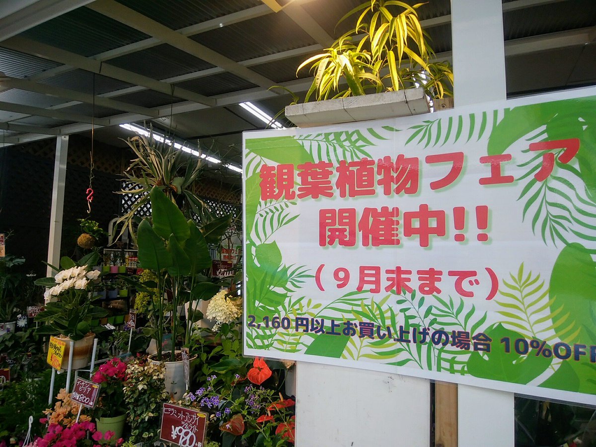 中央フラワー 国立南口ガーデン店 Flower Kunitac1 Twitter 中央フラワー 国立南口ガーデン店 Flower Kunitac1 Twitter