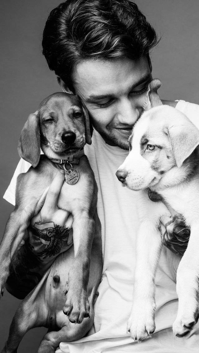 Mohikaaa's tweet photo. #HappyBirthday #HappyBirthdayLiamPayne 
Remember when we all used to recite Video Diaries along with their signature dialogues and almost feel like we're one of them; they're one of us?
Well, congratulations those times will last forever.
Let's rejoice Liam's precious birthday! https://t.co/bhCGBIuGVo
