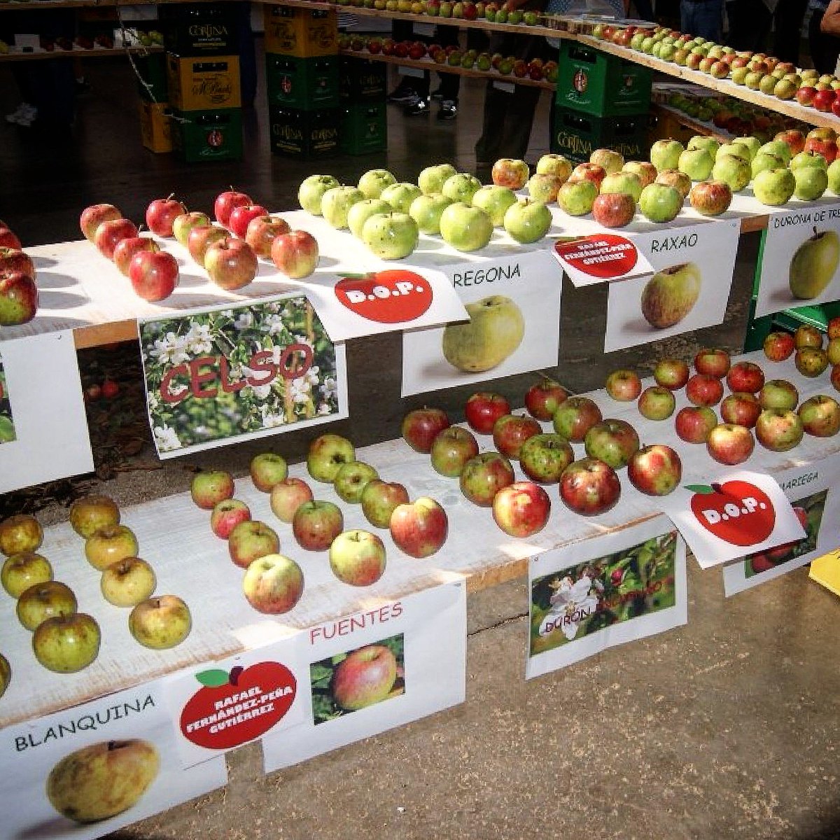 Atención XENTE SIDRERA y sobre tou, MANZANERA! 😊😊😊 
Si tenéis plantaciones y/o manzanes bien prestoses, nun dudéis en apuntaros a los concursos que se celebrarán en el próximu <a href="/ManzanaFestival/">Festival de la Manzana - Villaviciosa (Asturias)</a> <a href="/AytoVillaAst/">Ayuntamiento Villaviciosa - Asturias</a>
Plazu hasta el 10 de Septiembre! 
Info en ➡️
festivaldelamanzana.es/programa-festi…