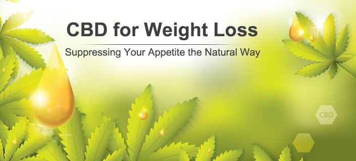 CBD for Weight Loss: Suppressing Your Appetite the Natural Way🍕🍟🍎💚
Our article has been featured on ConsumerHealthDigest💚💚
consumerhealthdigest.com/cbd-hemp-cente…
#cbd #cbdforweightloss #cbdheals #cbdlife #cbdweightloss #hemp #healthyeating #obesity #cbdoil #cbdnews