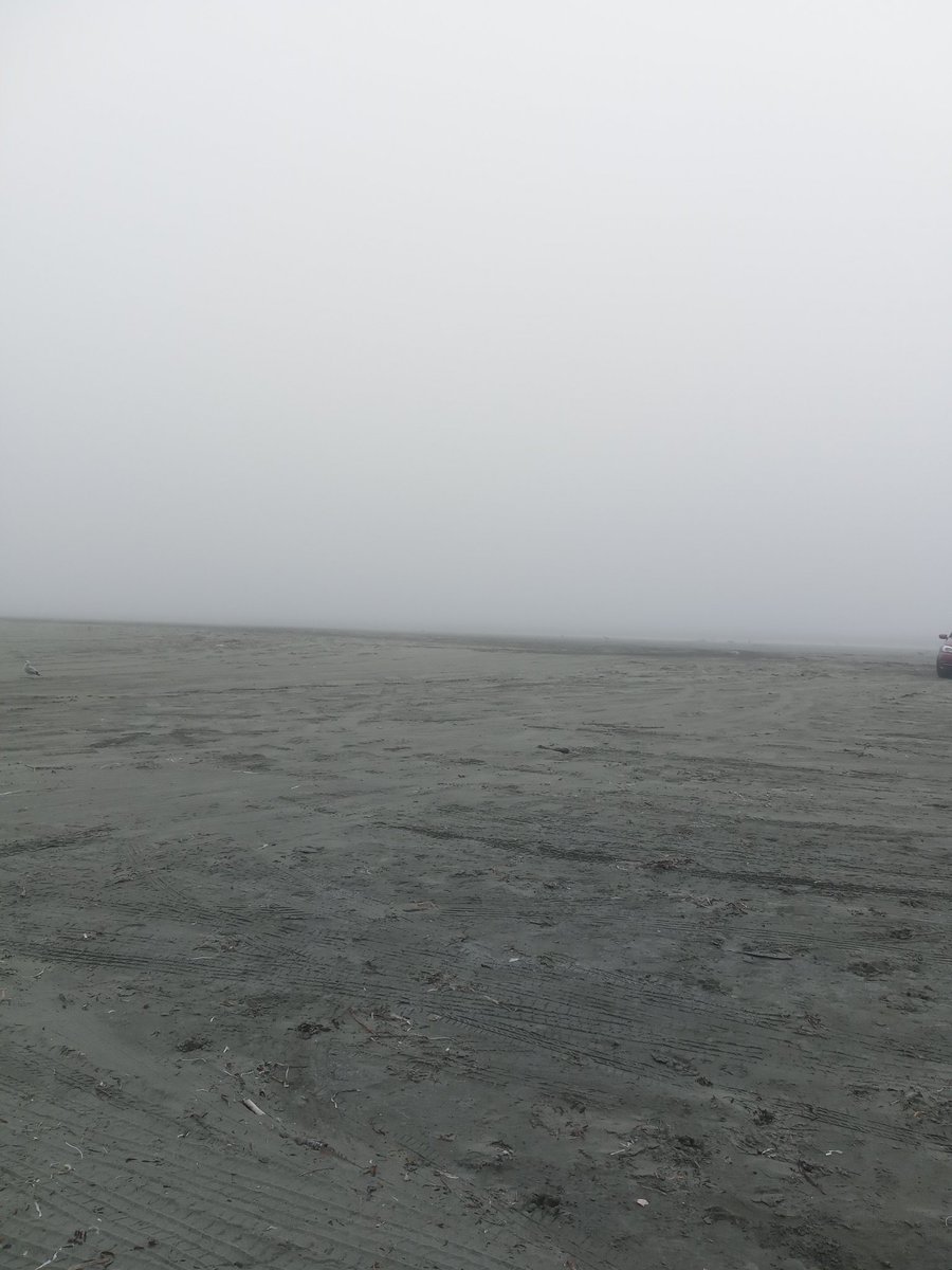 chebikitty's tweet photo. Sorry haven't been streaming much, our internet has decided to be a butt so we are dealing with them and then life has been kicking me in the butt. Here is pics from our beach day, didn't turn out perfect but I think Wanda liked it. https://t.co/m6ZopoIkqD