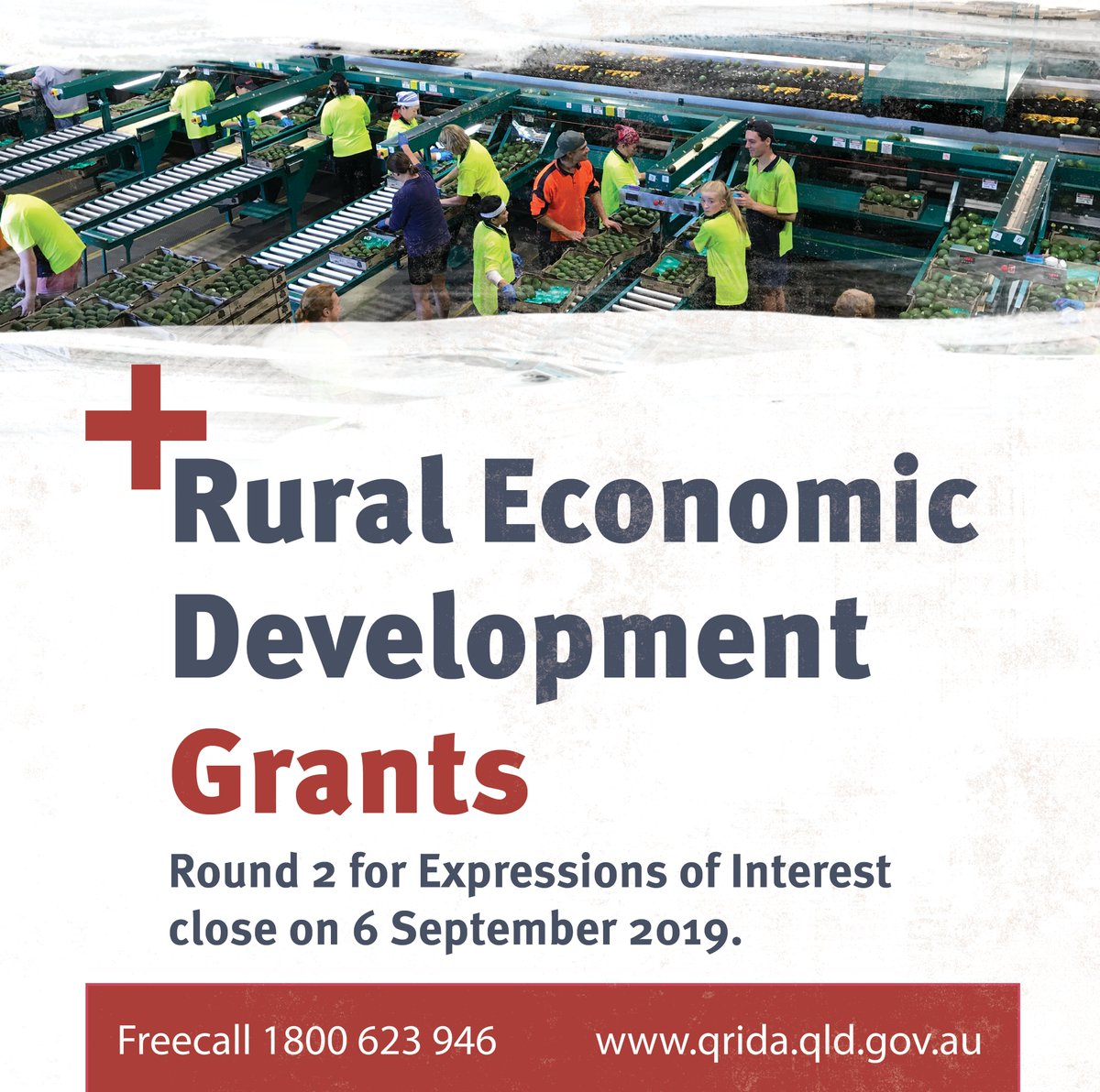 QRIDAmedia's tweet photo. Swan Ridge Farms, a fruit and vegetable farm near Bundaberg, will increase their produce supply by an estimated 400% and boost local employment with a new post-harvest facility thanks to a Rural Economic Development Grant. EOI applications for Round 2 close 6 September 2019. https://t.co/5fnxEwcuYU