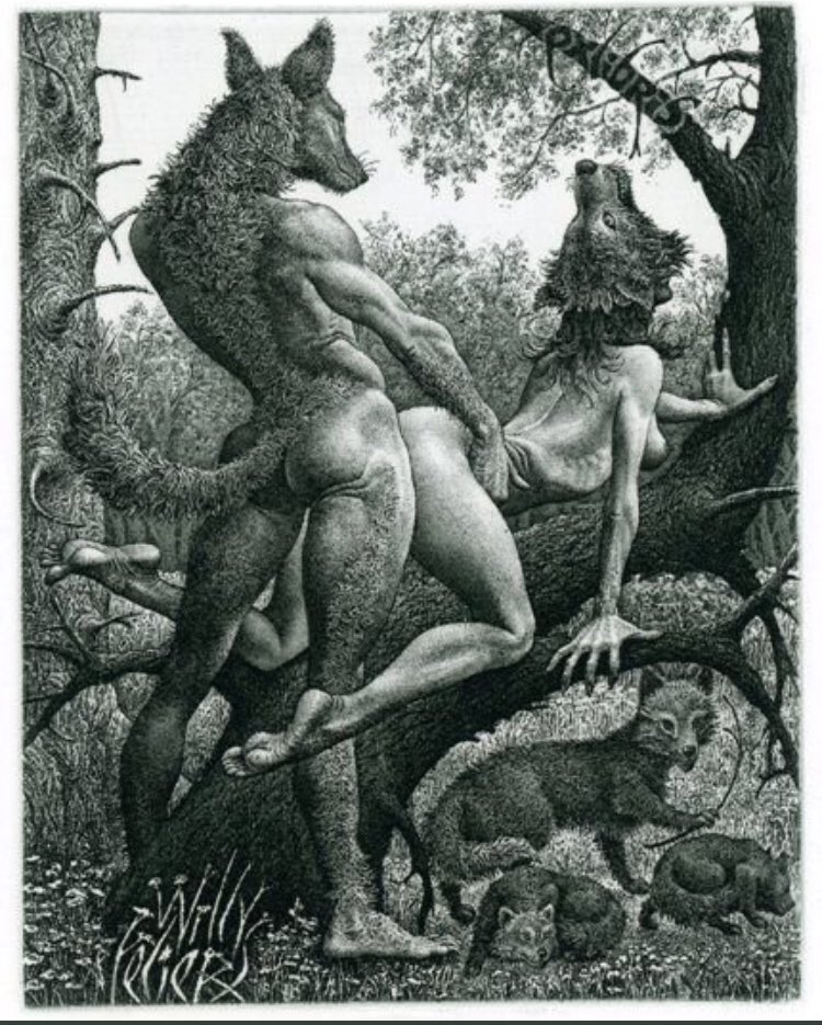 Wolf&moon (@wolfefenicenera) on Twitter photo 