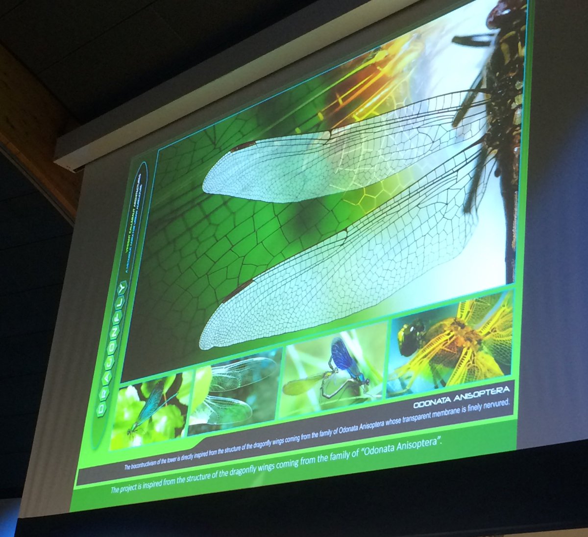 isareym's tweet photo. Se débarrasser de la voiture en supprimant l’habitat pavillonnaire, en faisant des #villes carbo-absorbantes arborées et en développant l#agriculture urbaine par Vincent Callebaut #iWeek2019 @essec #ecologie #SmartCity https://t.co/0aVGAIHtSy