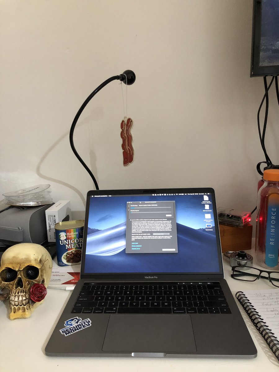 iiamit's tweet image. Proudly presenting my oddly Canadian trophy from the #hackerpyramid contest at @BSidesLV this year.