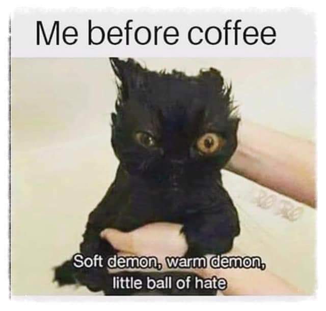 Gurr2085's tweet photo. Yup 😂👍 https://t.co/bS3K41EmQC