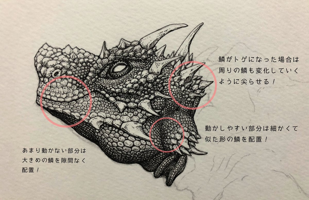 EDI-KVLUUAIKH2C.jpg?format=jpg