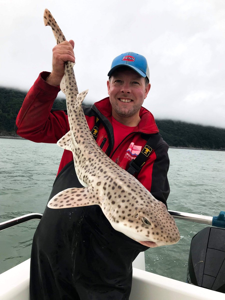 Channel_Anglers's tweet photo. A great time to book a boat trip from either Watchet or Minehead. #FishFromAugust 2019 https://t.co/xgIBN3x49z