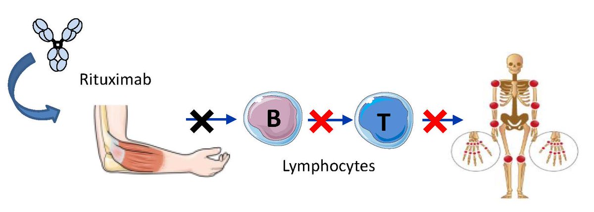 basic and clinical aspects of