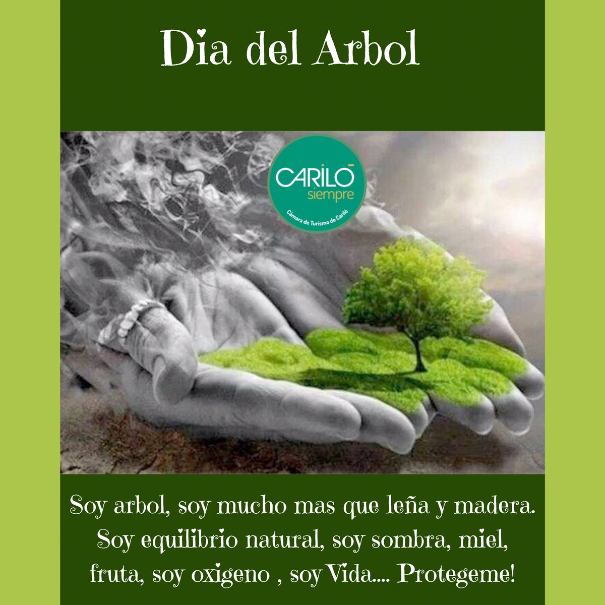 Camara de Turismo de Carilo tweet media