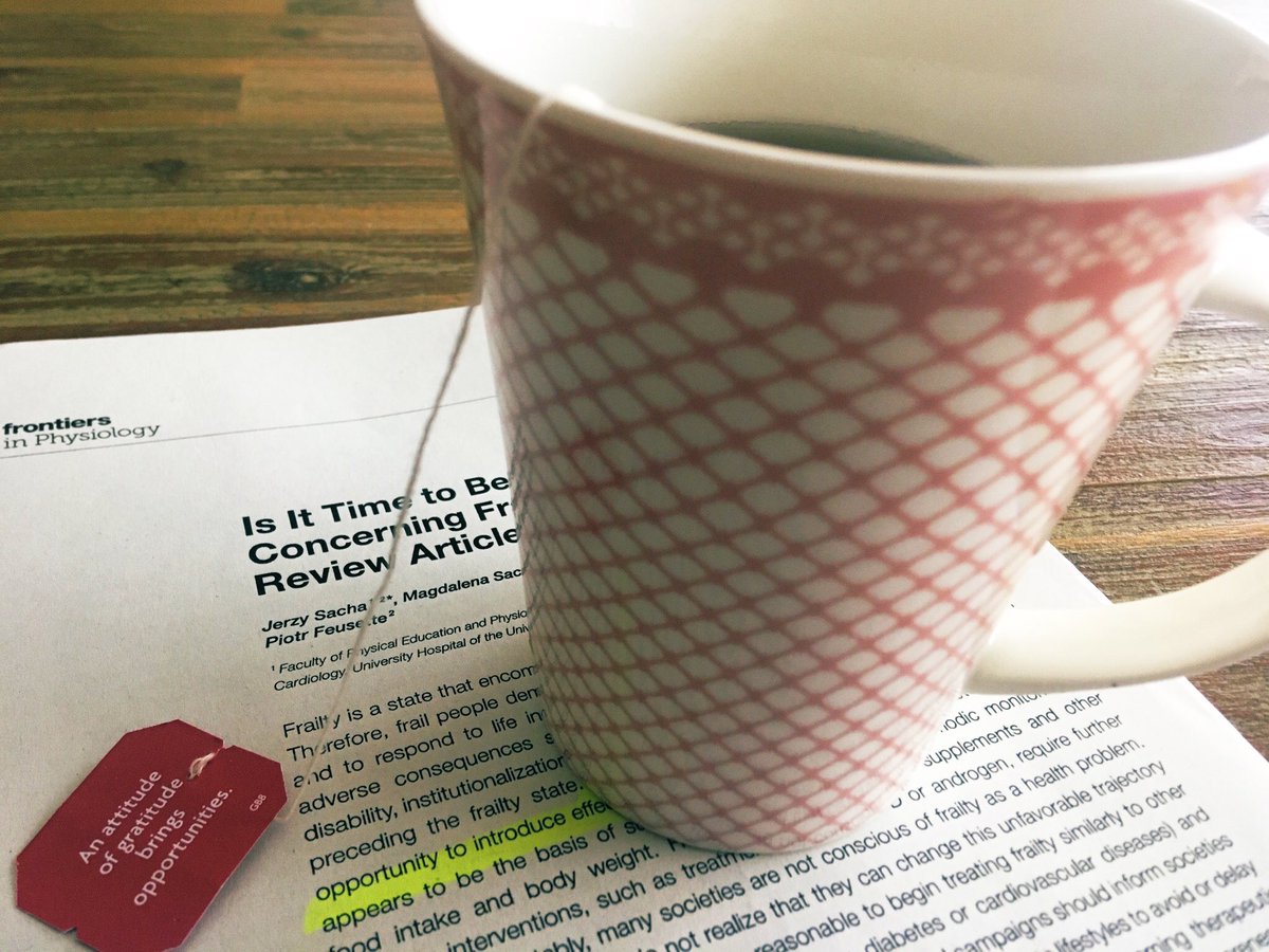 Maite Franco tweet media