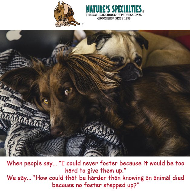 See all of our Products: naturesspecialtiesmfg.com 
#NaturesSpecialties #PetProducts #PetCare #Pets #PetSupplies #Groomers #DogsAndCats