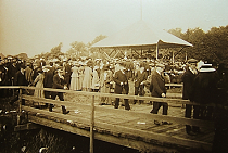 Stokesley Show tweet media