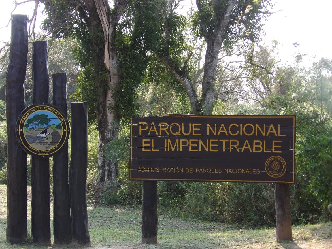 turismochaco's tweet photo. 👉 Visitamos el #ParqueNacionalElImpenetrable y conocimos sus caminos más verdes junto a periodistas de #RadioLibertad, @DiarioNorteCom, @RNatagala, #RevistaFix, @Canal9link, #ElImpenetrableTV, #Eschaco.com. 

¡Gracias por difundir nuestras joyas naturales! 👏🍃

#SomosTurismo https://t.co/79w6mngQX1