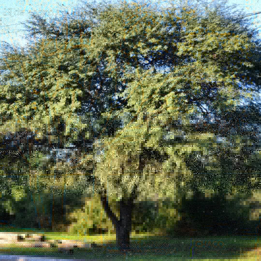 Educ_Amb_Chaco's tweet photo. Suecia fue el primer país del mundo en instituir un día del año como “Día del árbol”.

Esto ocurrió en 1840, cuando en dicho país se había tomado conciencia de la importancia que tienen los recursos forestales, del cuidado que se debía brindar a los árboles. https://t.co/H5eCzDgfba