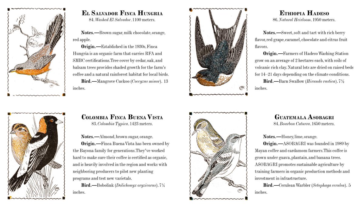 RedstartRoaster's tweet image. Last week: new bags. This week? New beans! Check out our new offerings online today or at the markets this weekend!