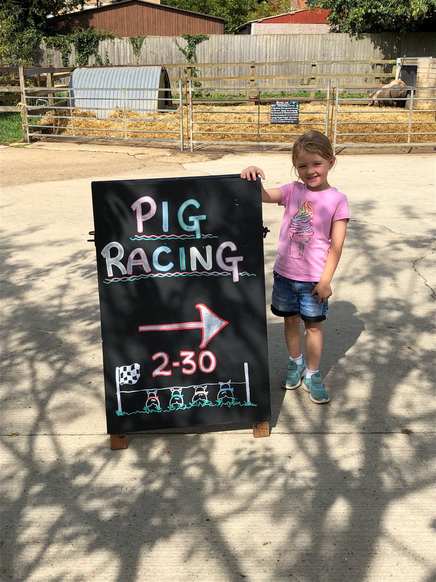 kevinsobi's tweet photo. Those of u that know me best will know I will bet on anything ! But this is a first even for me #runpiggyrun https://t.co/k9nojCGxyM