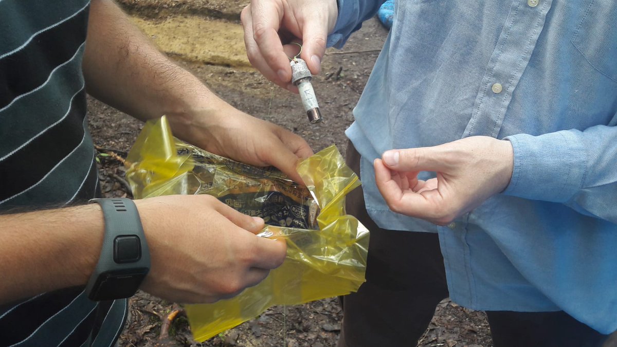 bearchaeo's tweet photo. It's time to put #dosimeters on the #Tobiotsuka #kofun in order to detect #radioactivity which will support #archaeometric activities and #datation #process #okayama #japan #archaeology https://t.co/f9O7rYM8RD