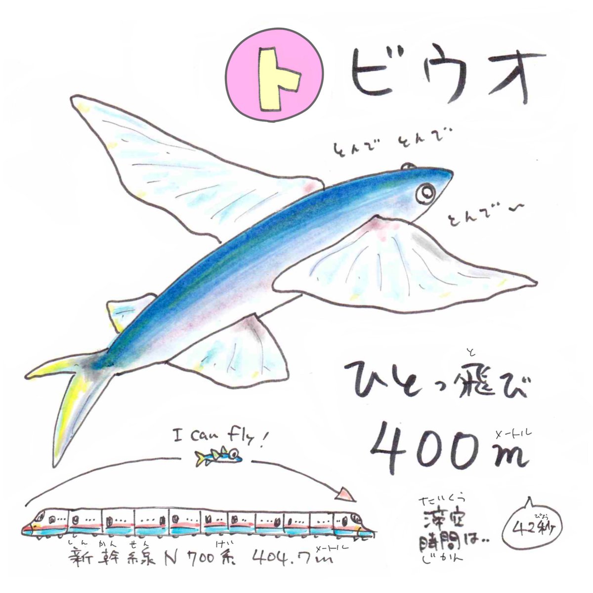 さかなのおにいさん かわちゃん ト トビウオ トビウオは敵から逃げるために飛べるよう進化した ひとっ飛びは滞空時間42秒 距離は400mを越えるっ 新幹線の端から端まで越えるほどなのだ あいうえお さかな T Co C2wlooctol Twitter