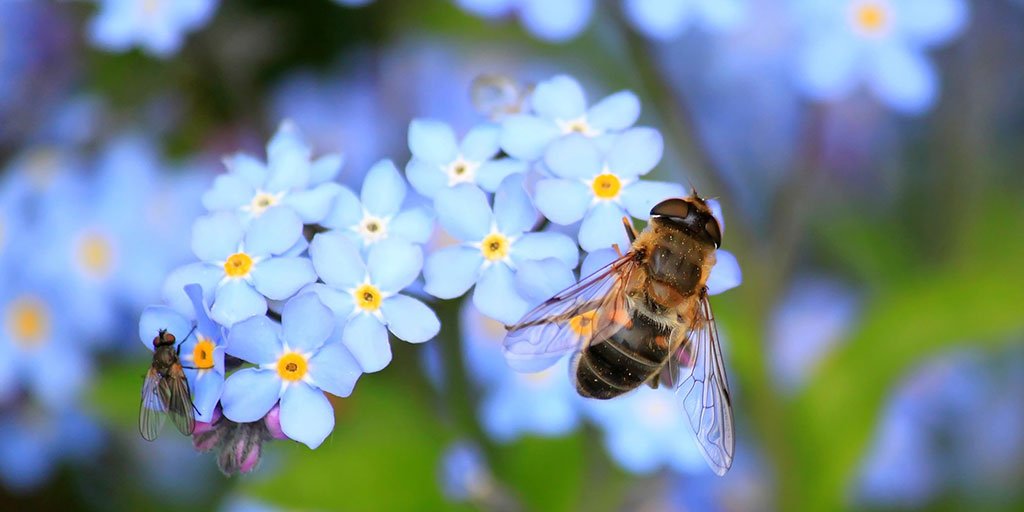 NHSSussex's tweet photo. Most insect bites and stings are not serious and will clear up on their own in a few hours or days. You might get some pain, swelling or itchiness but your pharmacist can help you to buy treatments over the counter to relieve your symptoms #SafeWellSummer #HelpMyNHS https://t.co/N0p4oLkGxI