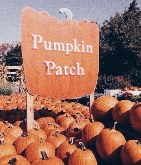 boohoo's tweet photo. I AM READY FOR THE BEST TIME OF THE YEAR ❄️🎃🧡 #ThursdayThoughts https://t.co/0AffJg7IKJ