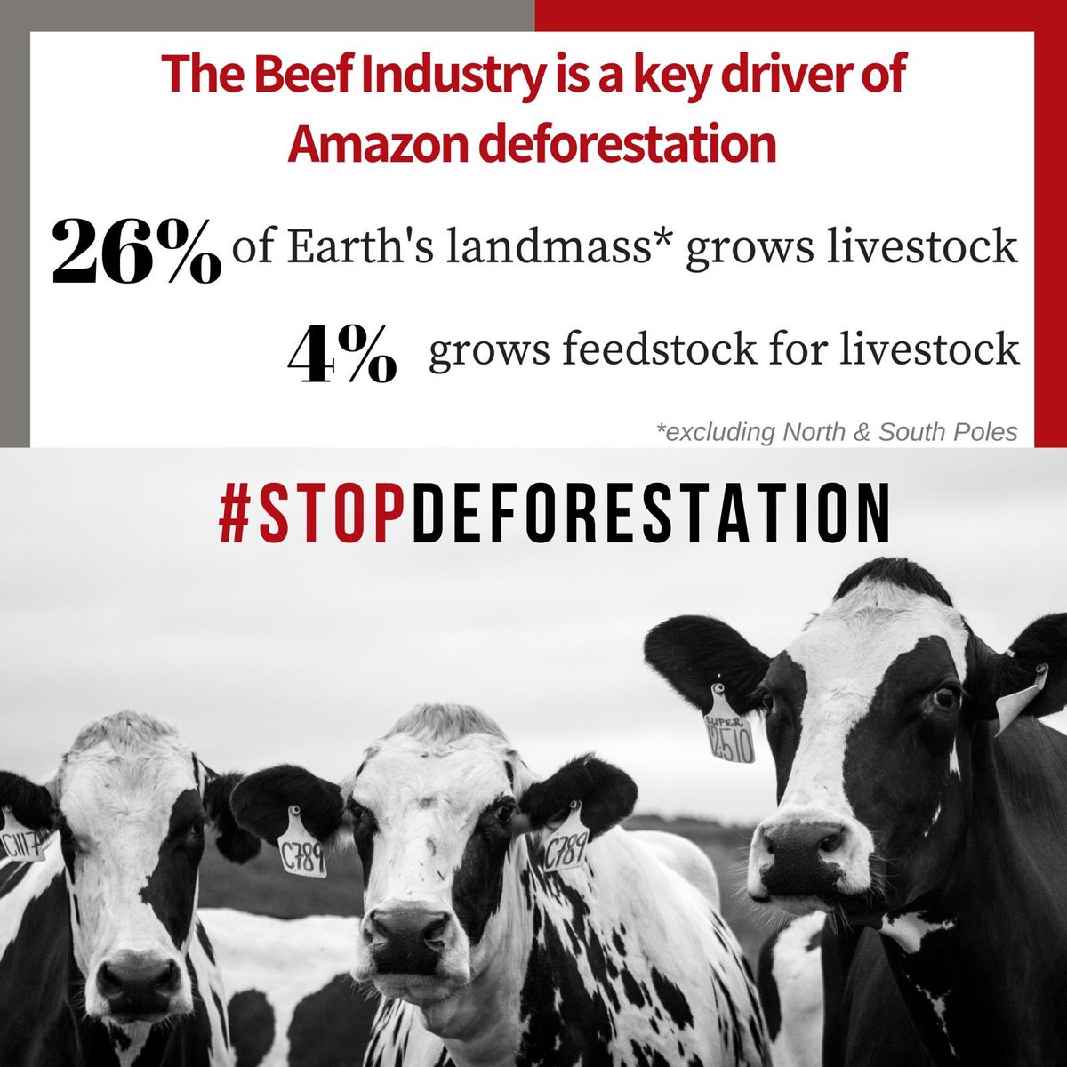 PavanSukhdev's tweet photo. “What % of land is used to grow meat?" Staggering answer = 30% !!And #BeefIndustry are key drivers of #AmazonDeforestation. @UNEP @EmmanuelMacron @BorisJohnson @EU_ENV @EUCommission you must STOP importing #BrazilBeef & #BrazilSoya that is not #Certified as #DeforestationFree https://t.co/zM3xLUDcRC