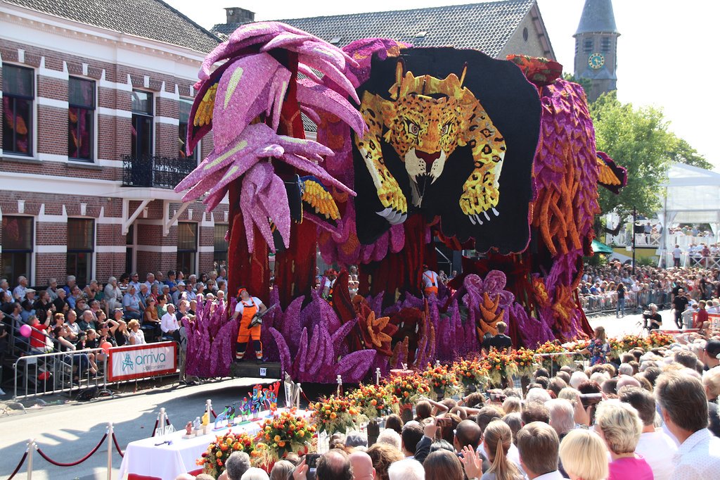 The #corsozundert takes place this Sunday! RENA is a sponsor for a few of the 20 competing heralds. Laer-Akkermolen is one of them, and earlier this year, RENA was interviewed for their sponsor magazine. Read the full article (in Dutch) here on page 8: bit.ly/2L2igHE