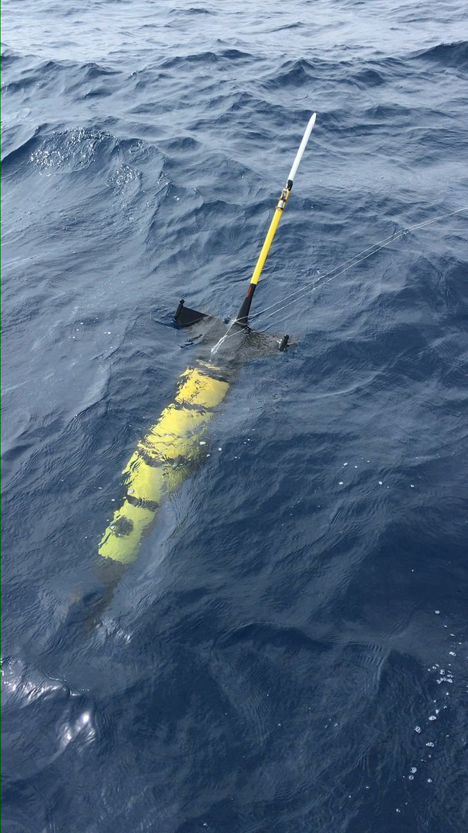 SeaExplorer Glider (@seaexploreruuv) on Twitter photo New <a href="/SeaExplorerUUV/">SeaExplorer Glider</a> deployment in the Gulf of Lion supported by 🇫🇷 Water Agency <a href="/SauvonsLeau/">Agence de l'eau Rhône Méditerranée Corse 💧</a>! Fitted with CTD & acoustic payload, the #OceanGlider will navigate shallow & deep waters in dense & low maritime traffic areas to record ambient noise. Data processed by <a href="/CHORUSacoustics/">CHORUS</a> New <a href="/SeaExplorerUUV/">SeaExplorer Glider</a> deployment in the Gulf of Lion supported by 🇫🇷 Water Agency <a href="/SauvonsLeau/">Agence de l'eau Rhône Méditerranée Corse 💧</a>! Fitted with CTD & acoustic payload, the #OceanGlider will navigate shallow & deep waters in dense & low maritime traffic areas to record ambient noise. Data processed by <a href="/CHORUSacoustics/">CHORUS</a>