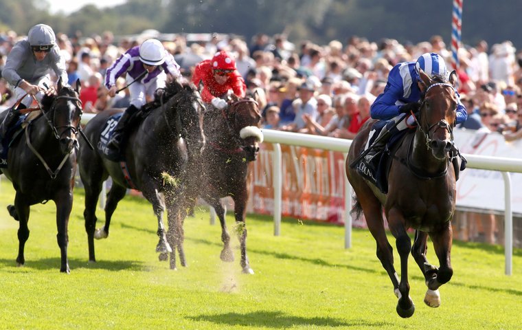 Breeders cup turf betting odds Breeders cup turf betting odds signal indicator forex download