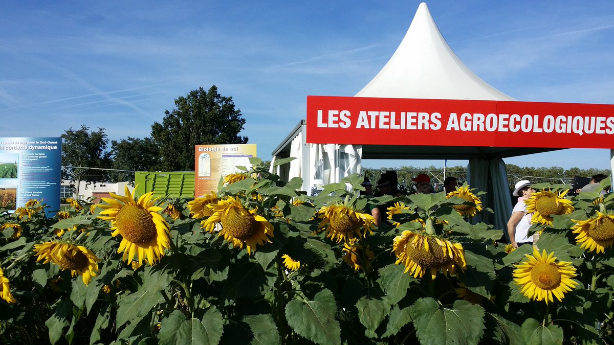 Innov-Agri tweet media