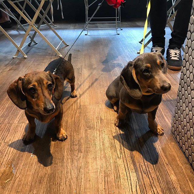 Double trouble have come in for their morning flat white ☕️