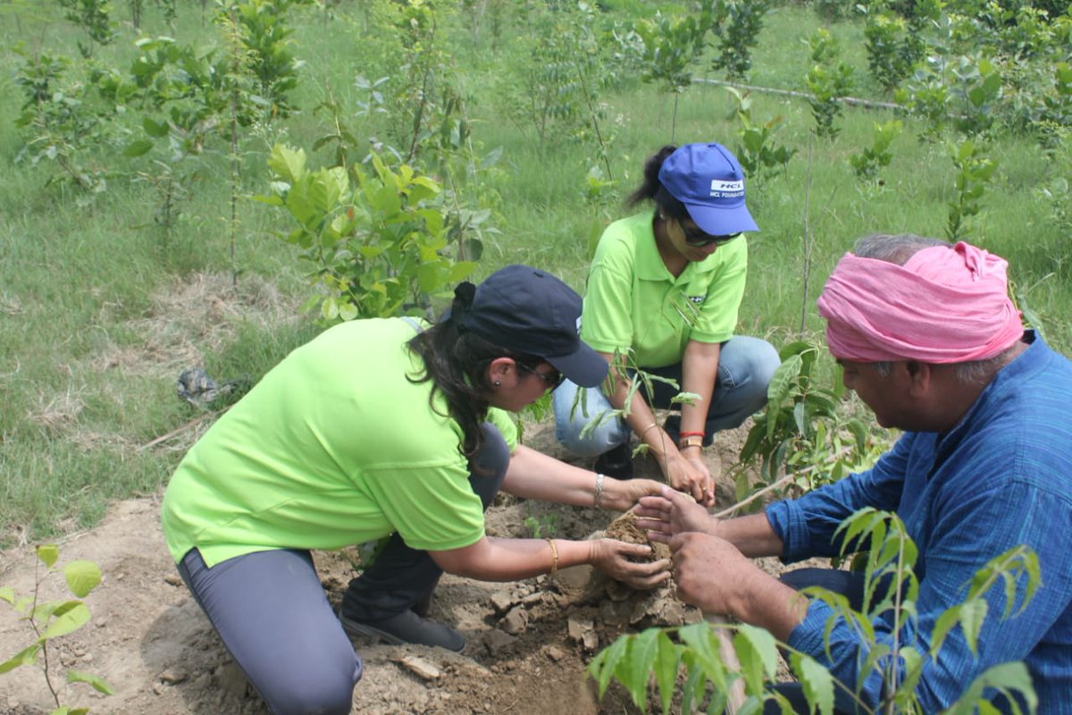 hcltech's tweet photo. We celebrated the 43rd HCL Day by planting 4,300 saplings in phase III of Uday Upvan Sorkha. #HCLDAY #43YearsOfHCL https://t.co/Imb45HbW3Z