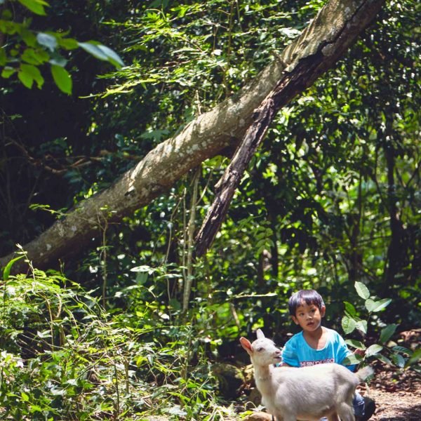 CulturalTaiwan's tweet photo. "A vast, blue sky. A long and endless mountain path. This is not an excursion, but the journey of three-year-old Xiao Wu and her lamb to the orphanage where they will be abandoned."

#Taiwanese short "To Heaven, To Gather" screening at #DCShorts this Sept. https://t.co/90rOjYmRO3 https://t.co/ZFADphl8Oj