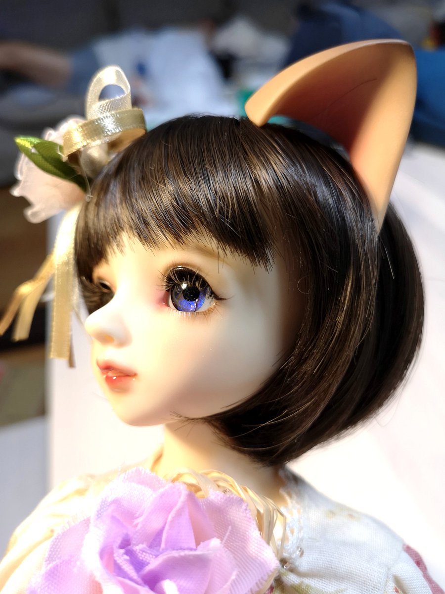 maneki_cat_momo's tweet photo. #29日なのでミニ29番ください
#MSD29
#うちのこかわいい
#うちのこに癒され24時間 
#壱color 
既出ばかりですみません https://t.co/5hADBcmfyM