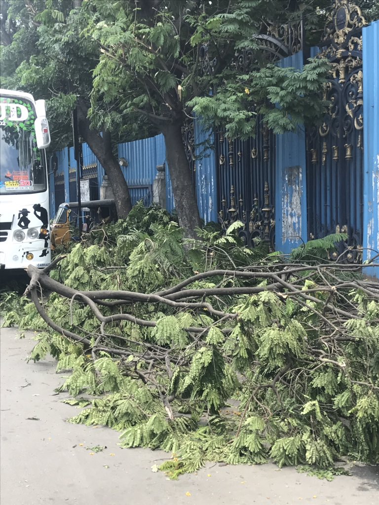 HarishKumarDaga's tweet image. It’s a Green Murder 😭😢
little sad to see in Name of Bada Ganesh way trees are been chopped near Secretariat back Gate..
There is ample space to move ideals..
Our religion doesn’t say to cut tree &amp;amp; place Plaster of Paris Ganesh 

Please STOP this @arvindkumar_ias @musharraf_ias