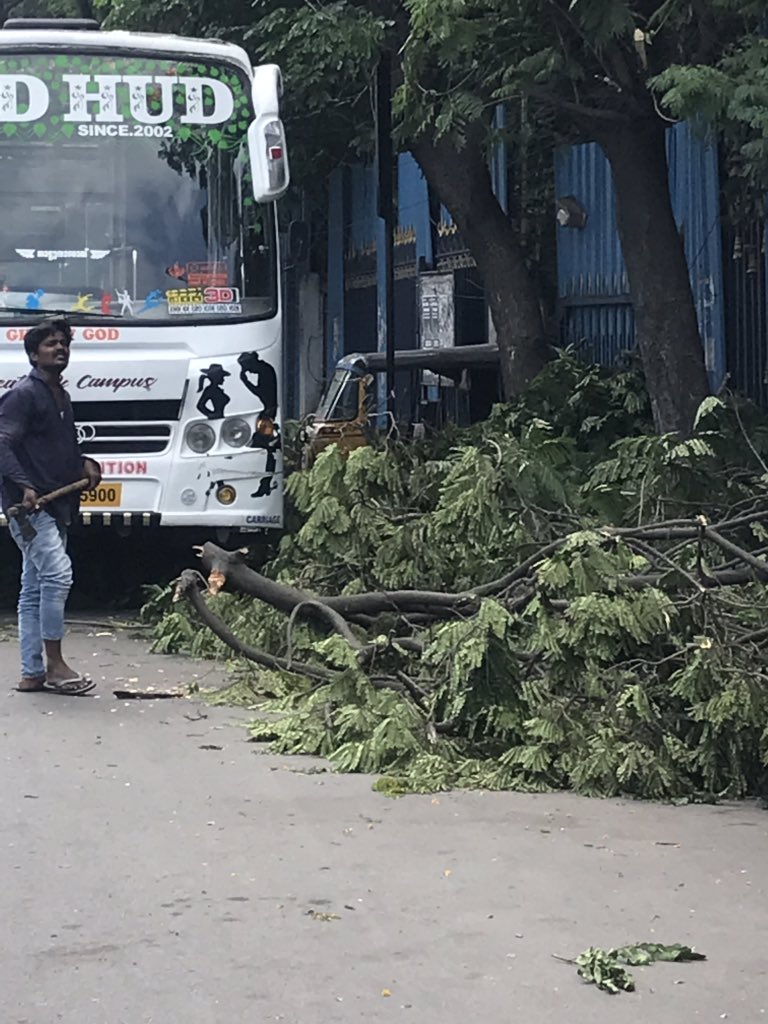 HarishKumarDaga's tweet image. It’s a Green Murder 😭😢
little sad to see in Name of Bada Ganesh way trees are been chopped near Secretariat back Gate..
There is ample space to move ideals..
Our religion doesn’t say to cut tree &amp;amp; place Plaster of Paris Ganesh 

Please STOP this @arvindkumar_ias @musharraf_ias