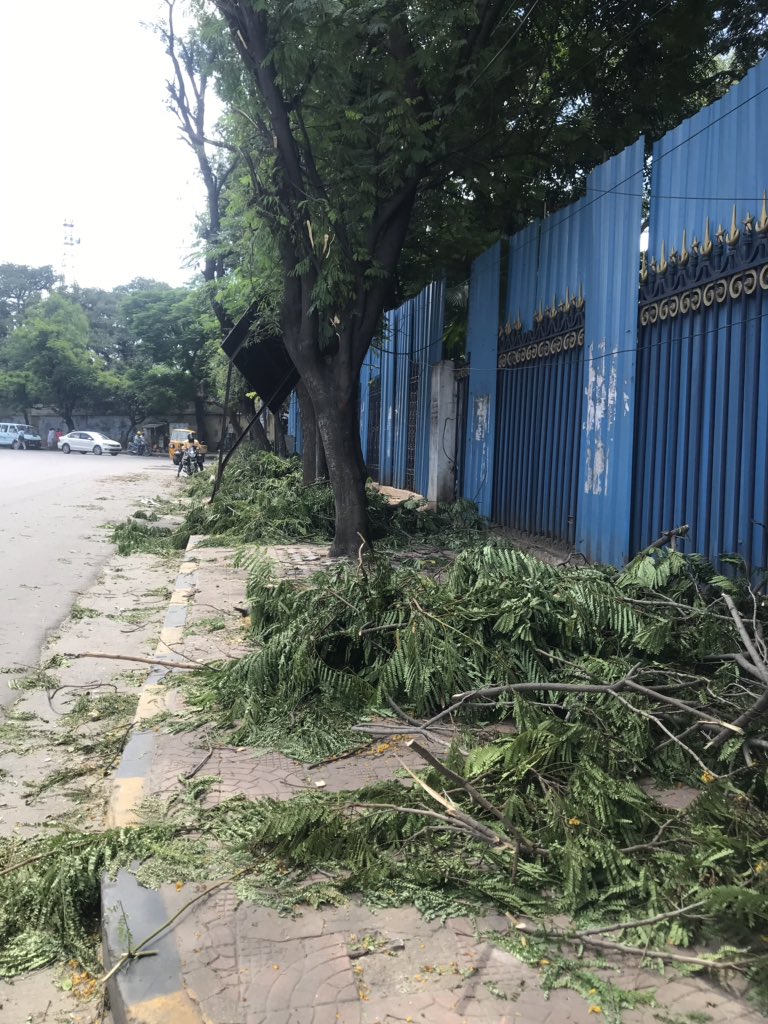 HarishKumarDaga's tweet image. It’s a Green Murder 😭😢
little sad to see in Name of Bada Ganesh way trees are been chopped near Secretariat back Gate..
There is ample space to move ideals..
Our religion doesn’t say to cut tree &amp;amp; place Plaster of Paris Ganesh 

Please STOP this @arvindkumar_ias @musharraf_ias